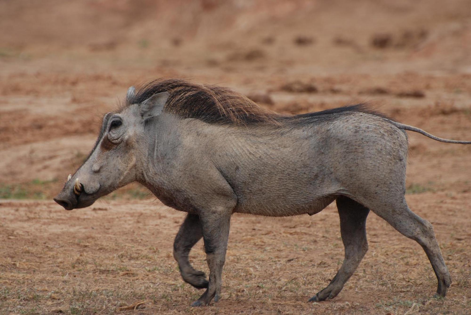 Dungbeetle River Lodge كولشستر المظهر الخارجي الصورة