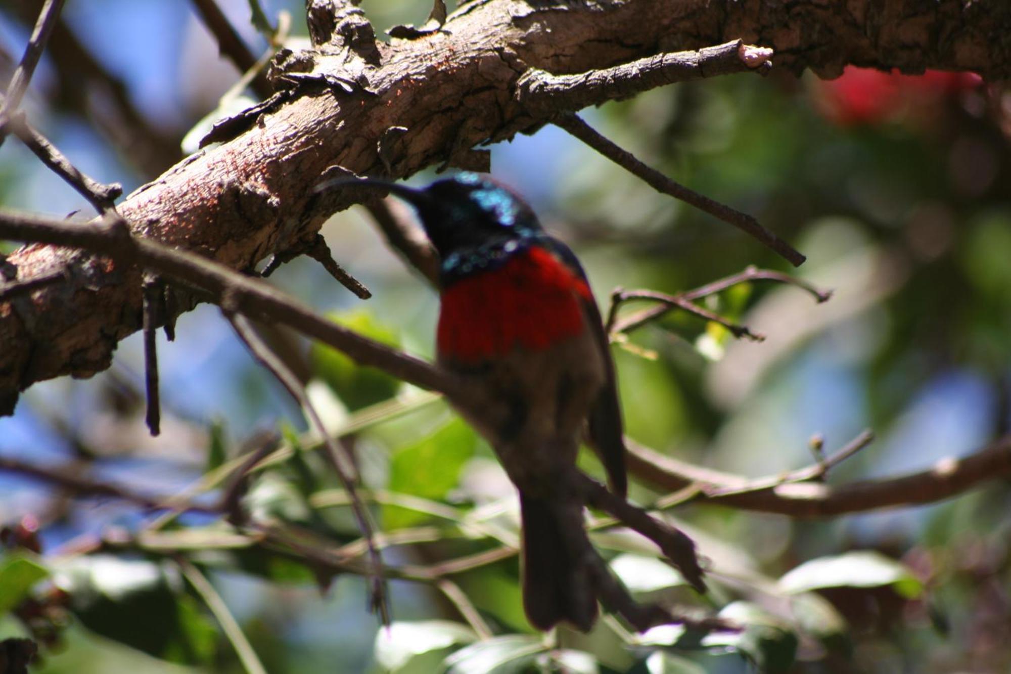 Dungbeetle River Lodge كولشستر المظهر الخارجي الصورة