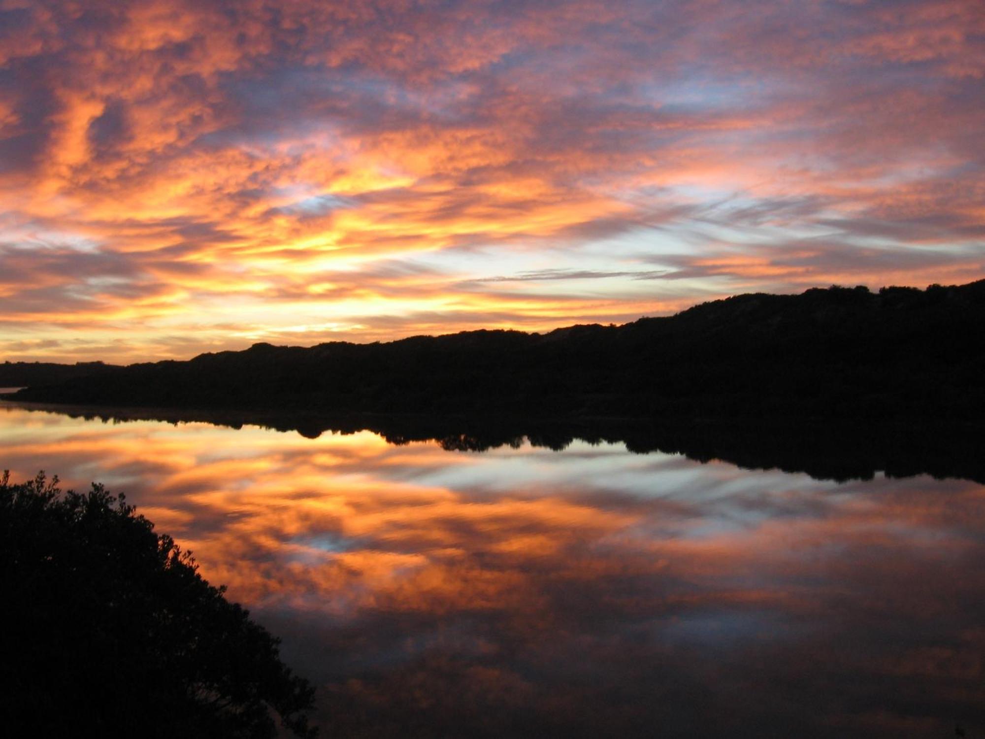 Dungbeetle River Lodge كولشستر المظهر الخارجي الصورة