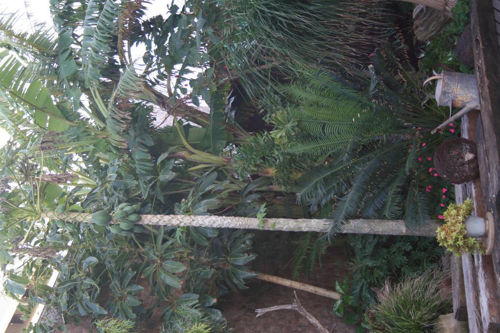 Dungbeetle River Lodge كولشستر المظهر الخارجي الصورة